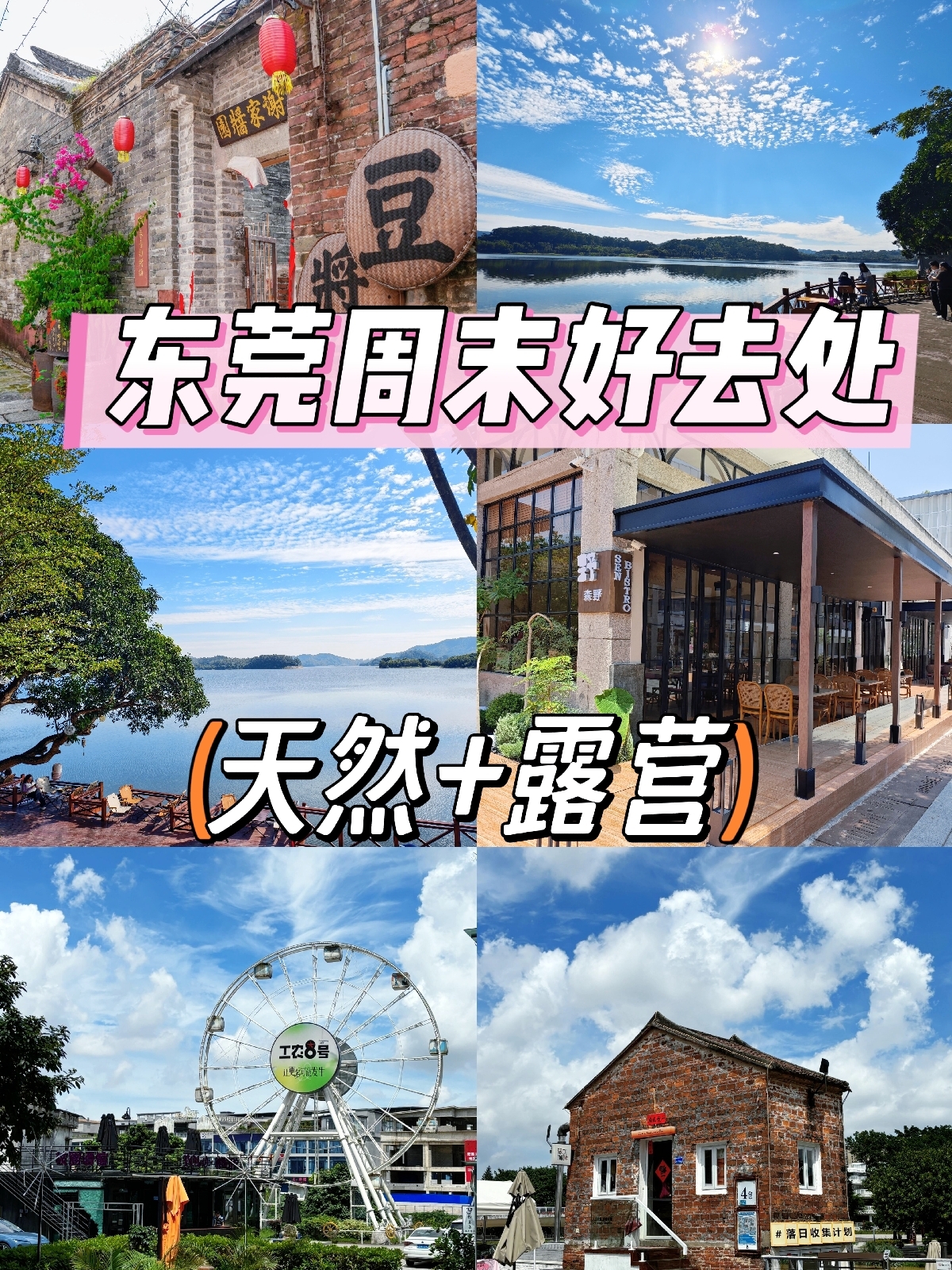 东莞同沙生态公园实拍图