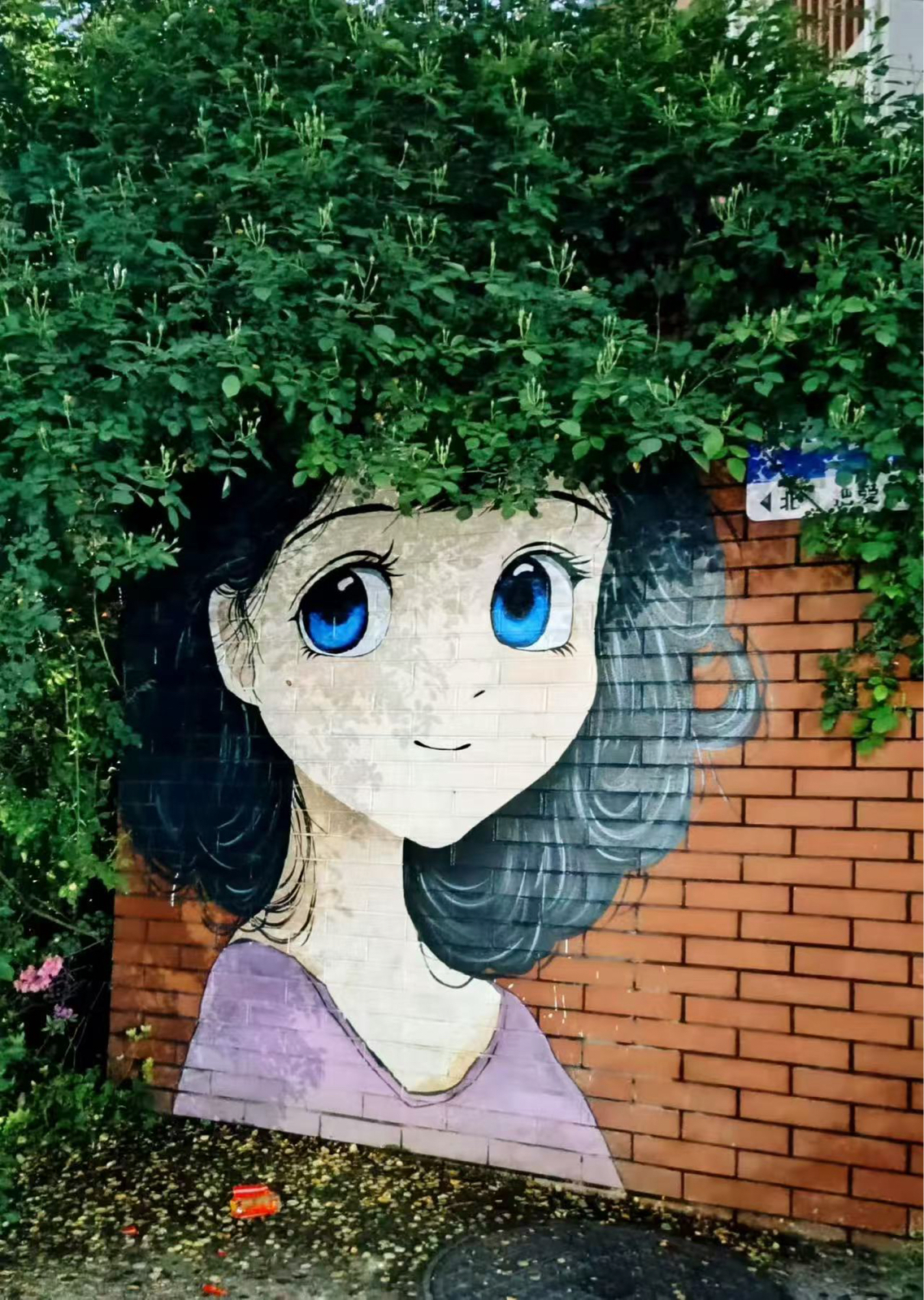 湘西芙蓉镇实拍图