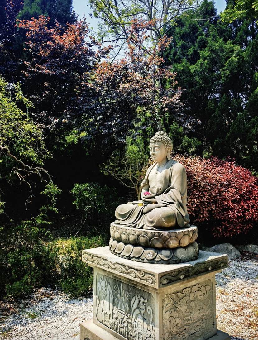 临沂沂蒙红色影视拍摄基地实拍图