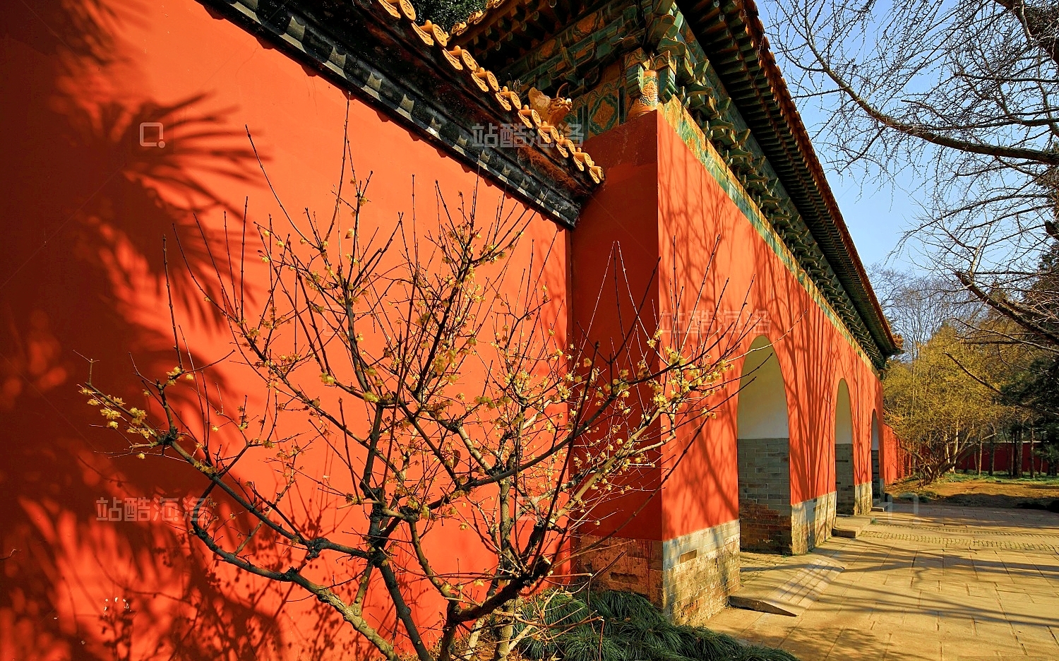 南京中央路实拍图