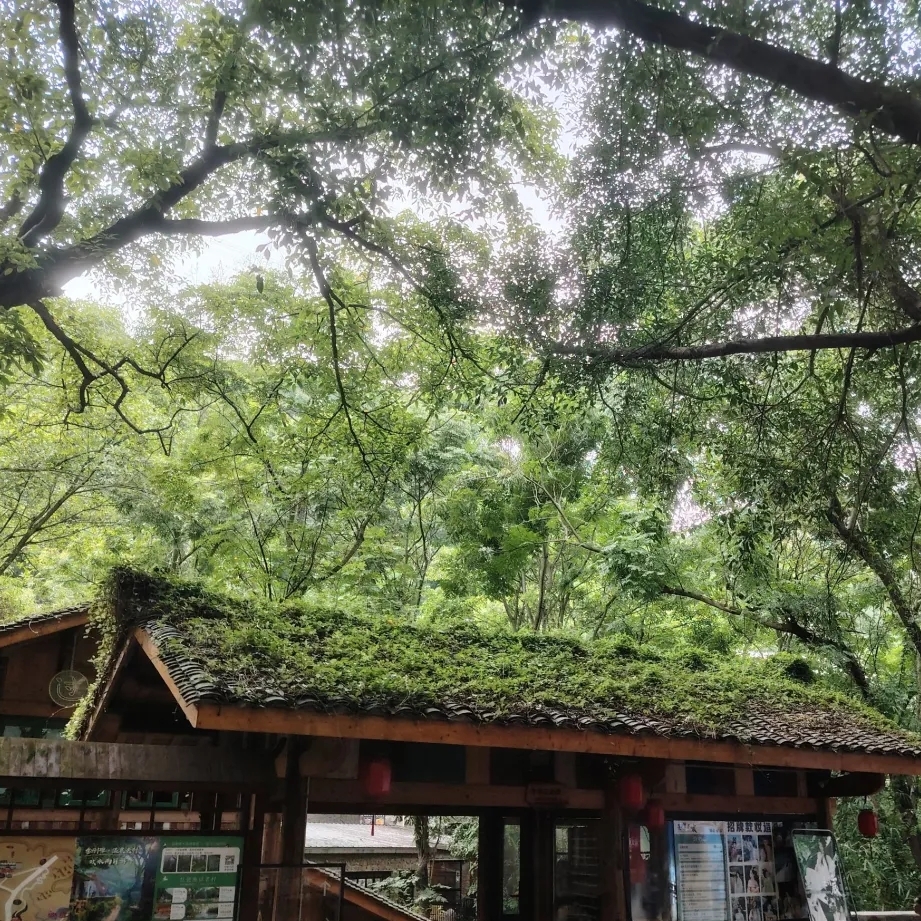 重庆金刚碑·温泉老村实拍图