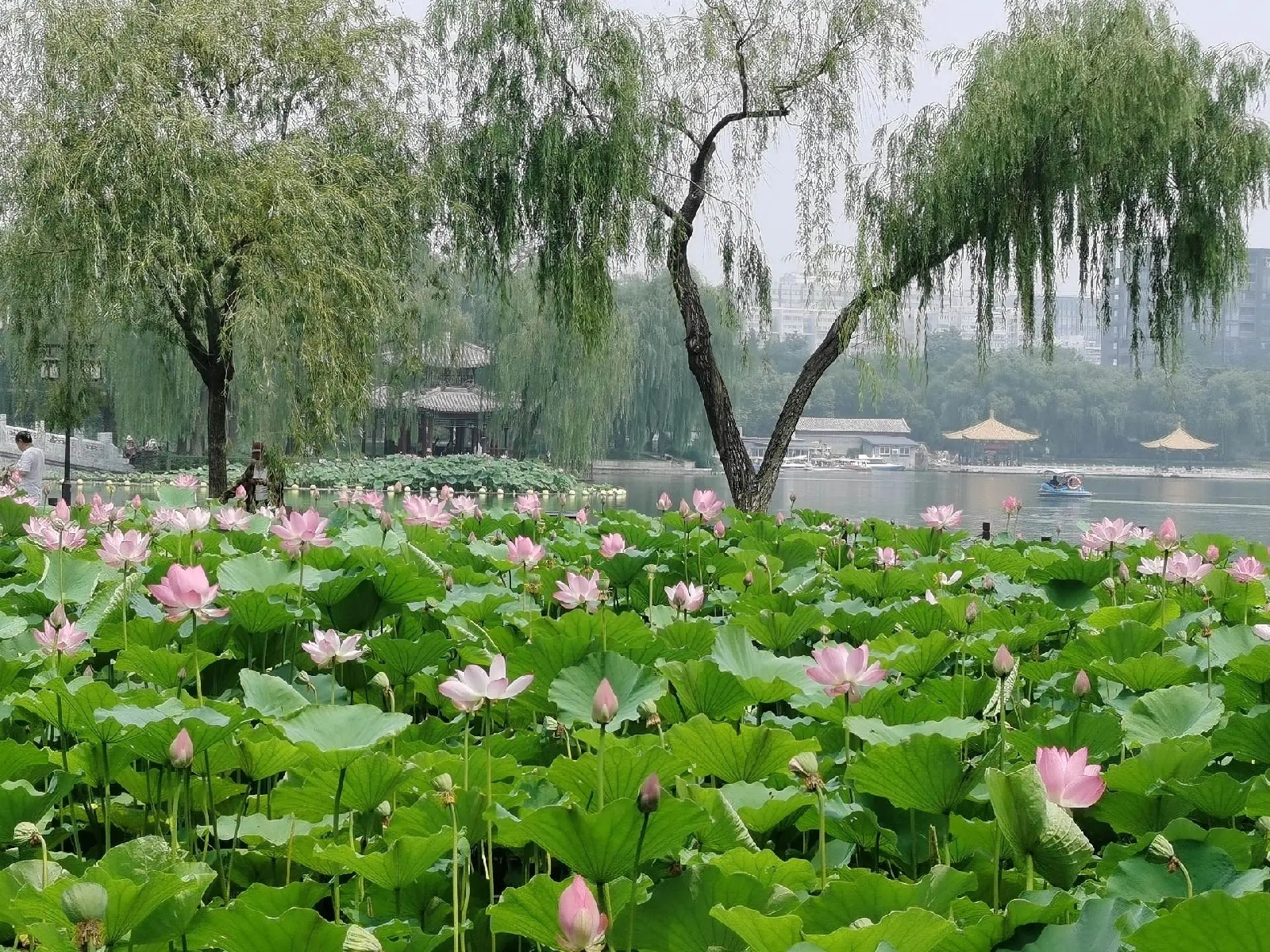 北京大观园实拍图