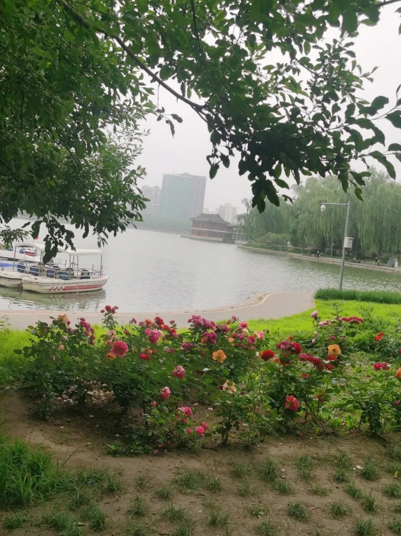 北京龙潭公园实拍图