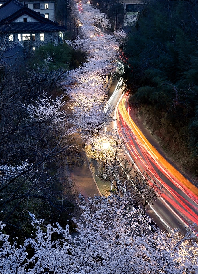南京中央路实拍图