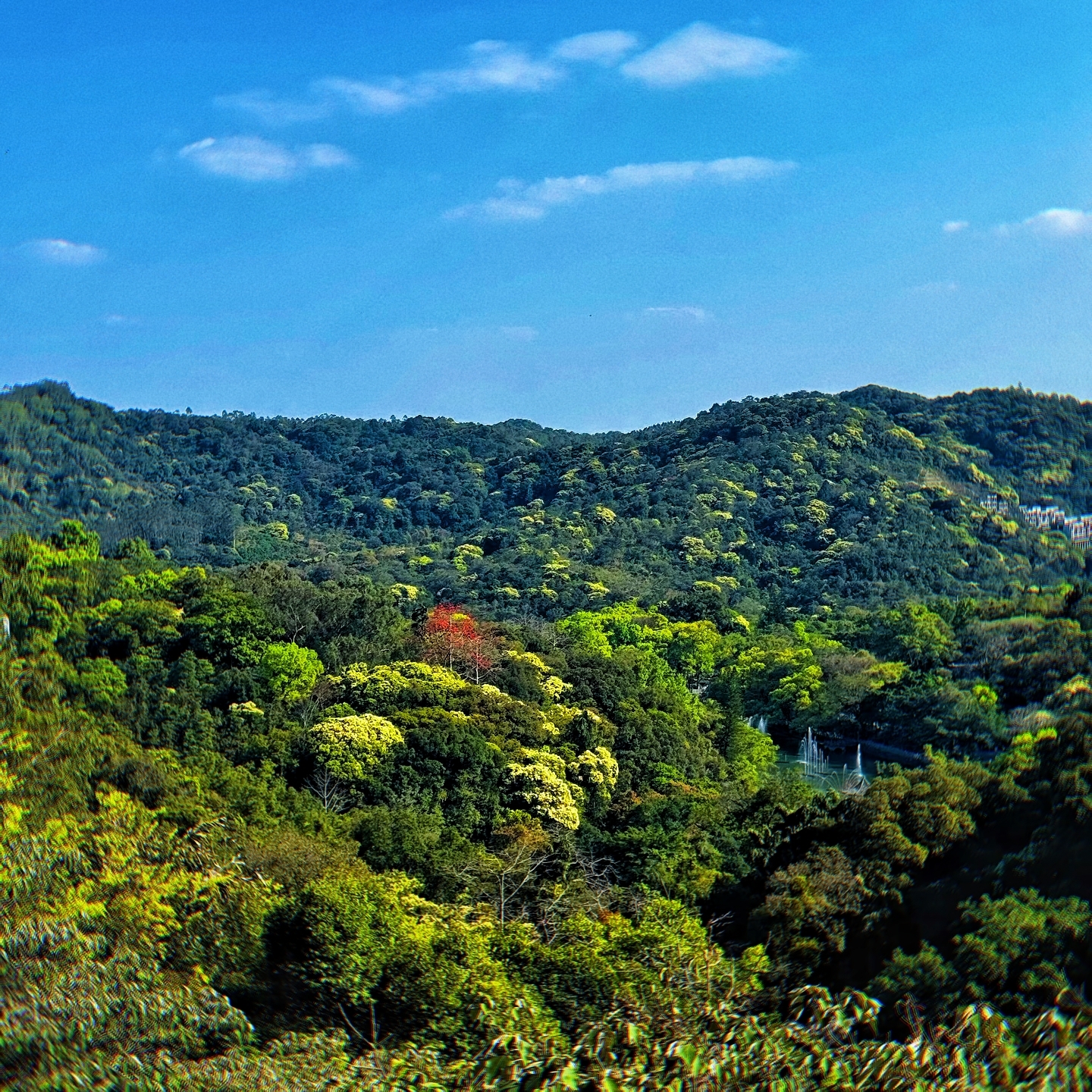 博罗罗浮山风景名胜区-黄龙古观实拍图