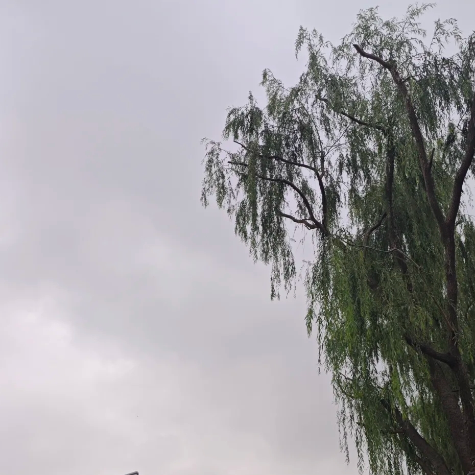 北京火德真君庙实拍图3