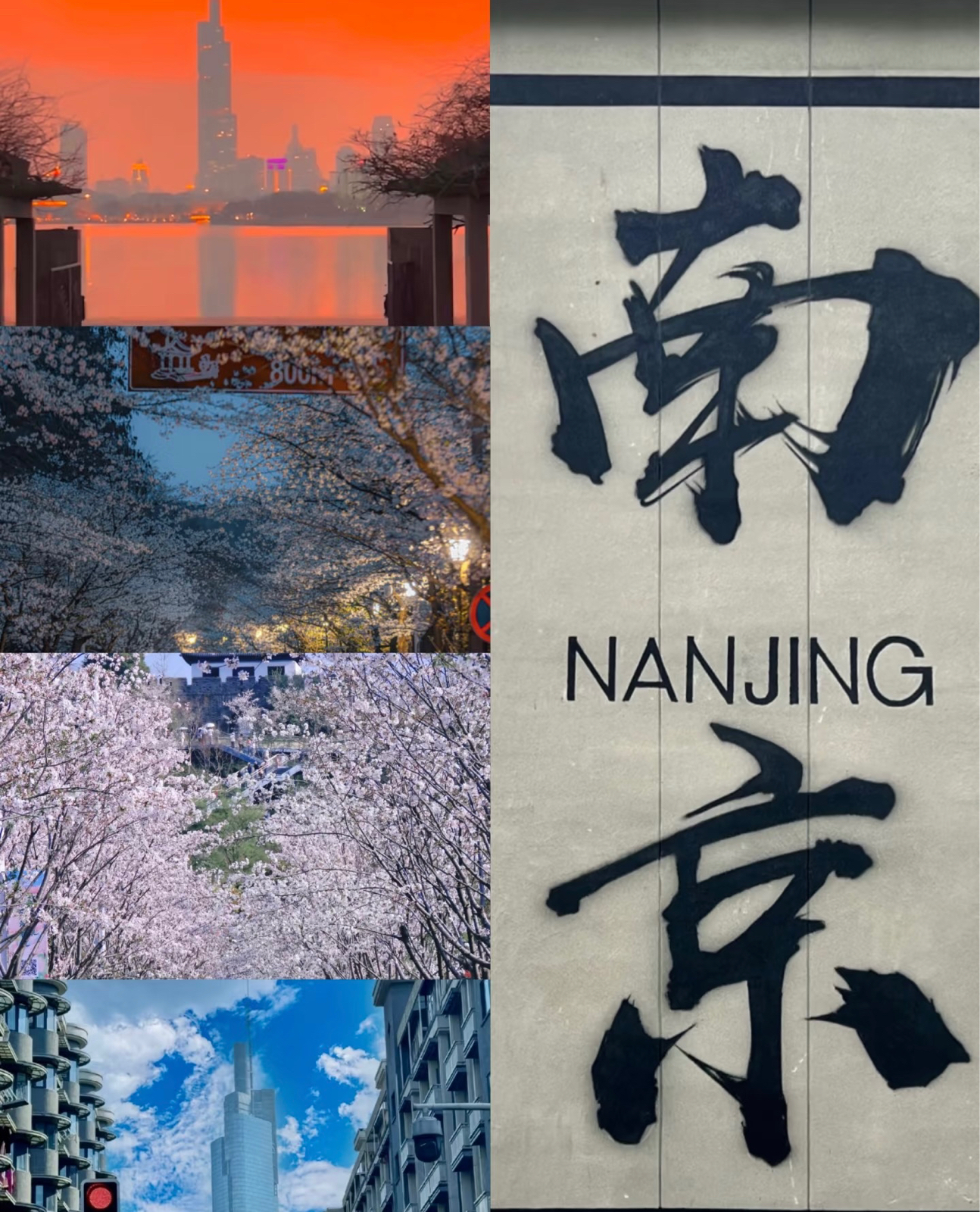 南京市博物总馆实拍图