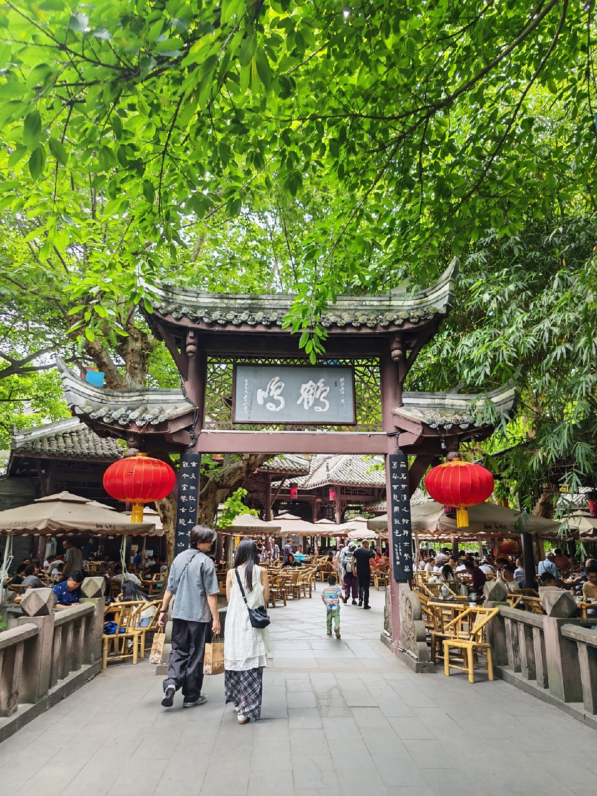 成都鹤鸣茶社实拍图