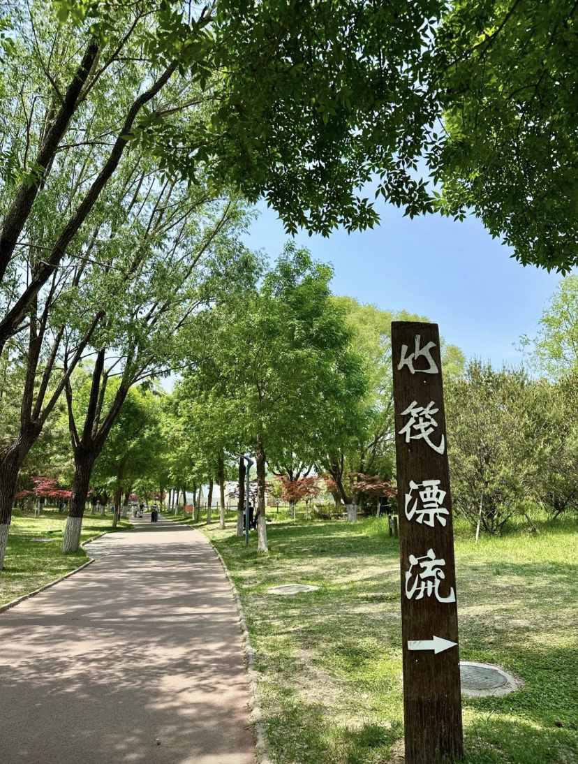 济南济西国家湿地公园实拍图
