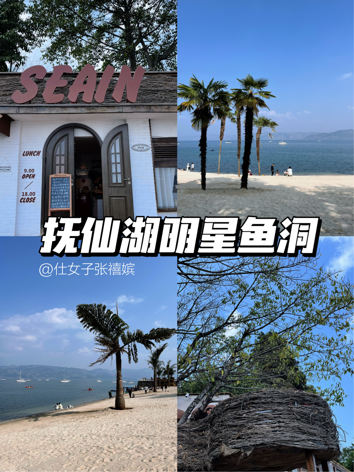 江川明星鱼洞实拍图