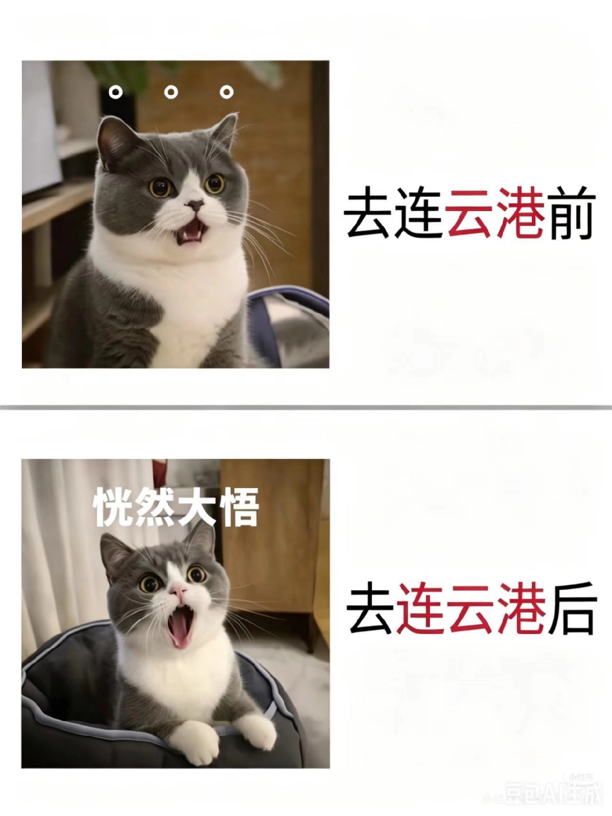 连云港羊山岛实拍图