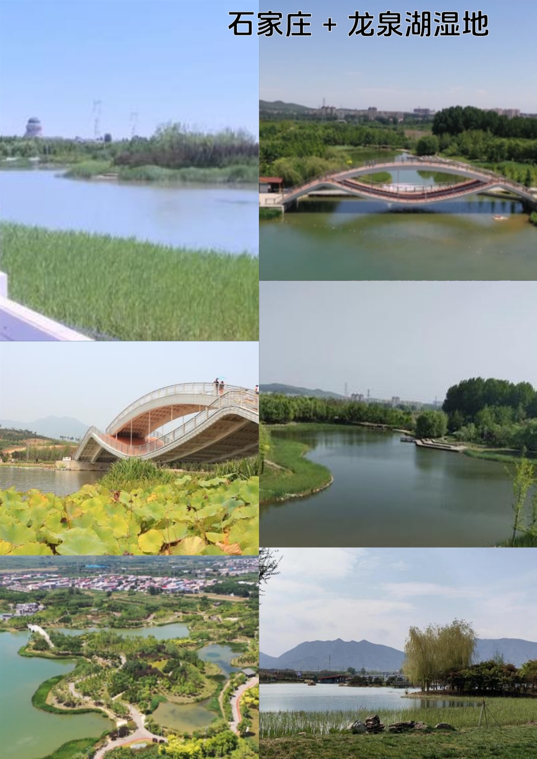 石家庄动物园实拍图