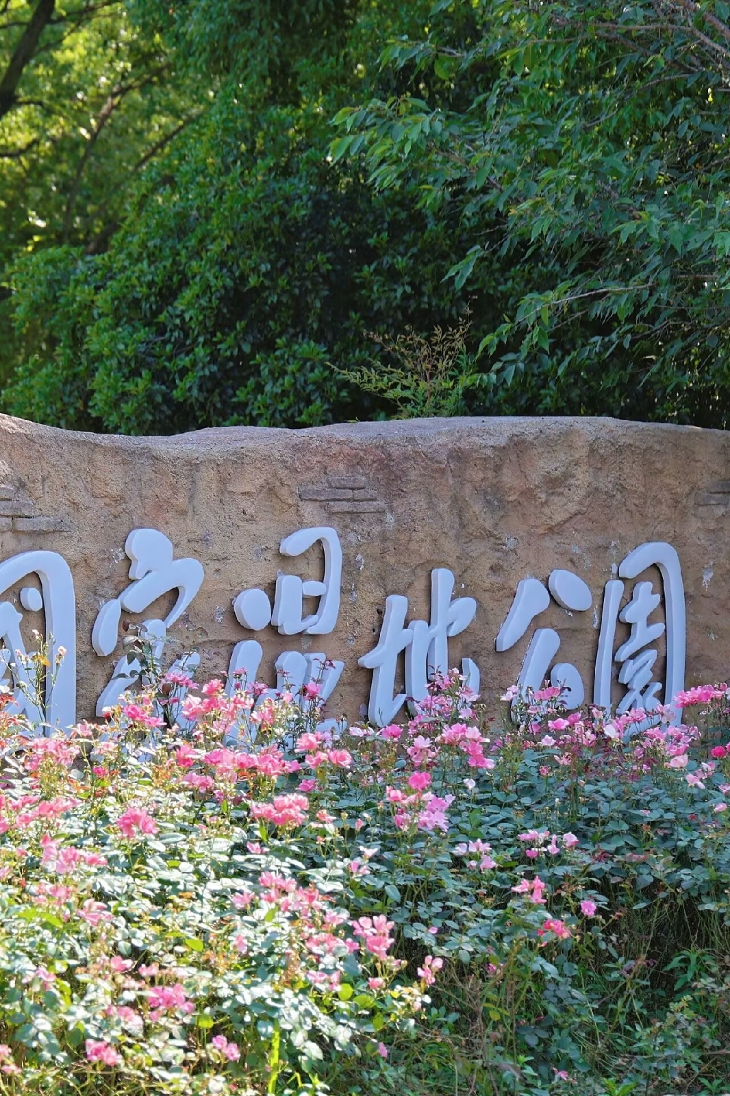 杭州上海实拍图