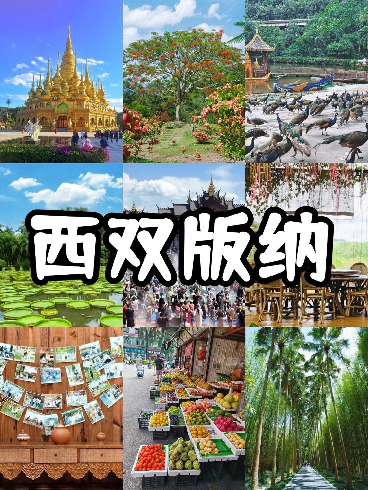 西双版纳实拍图