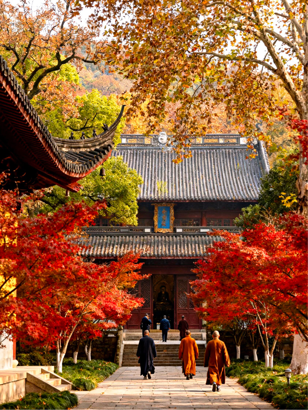 上海实拍图