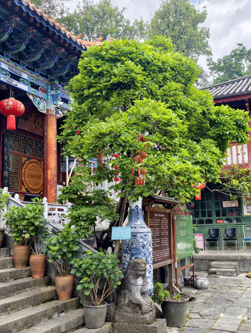 大理市感通寺实拍图