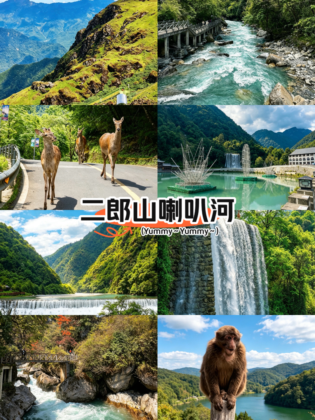 天全二郎山喇叭河风景区实拍图