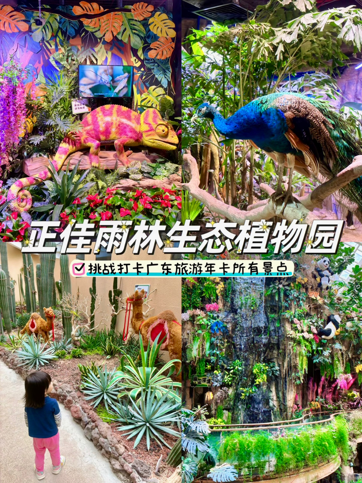 广州正佳雨林生态植物园实拍图