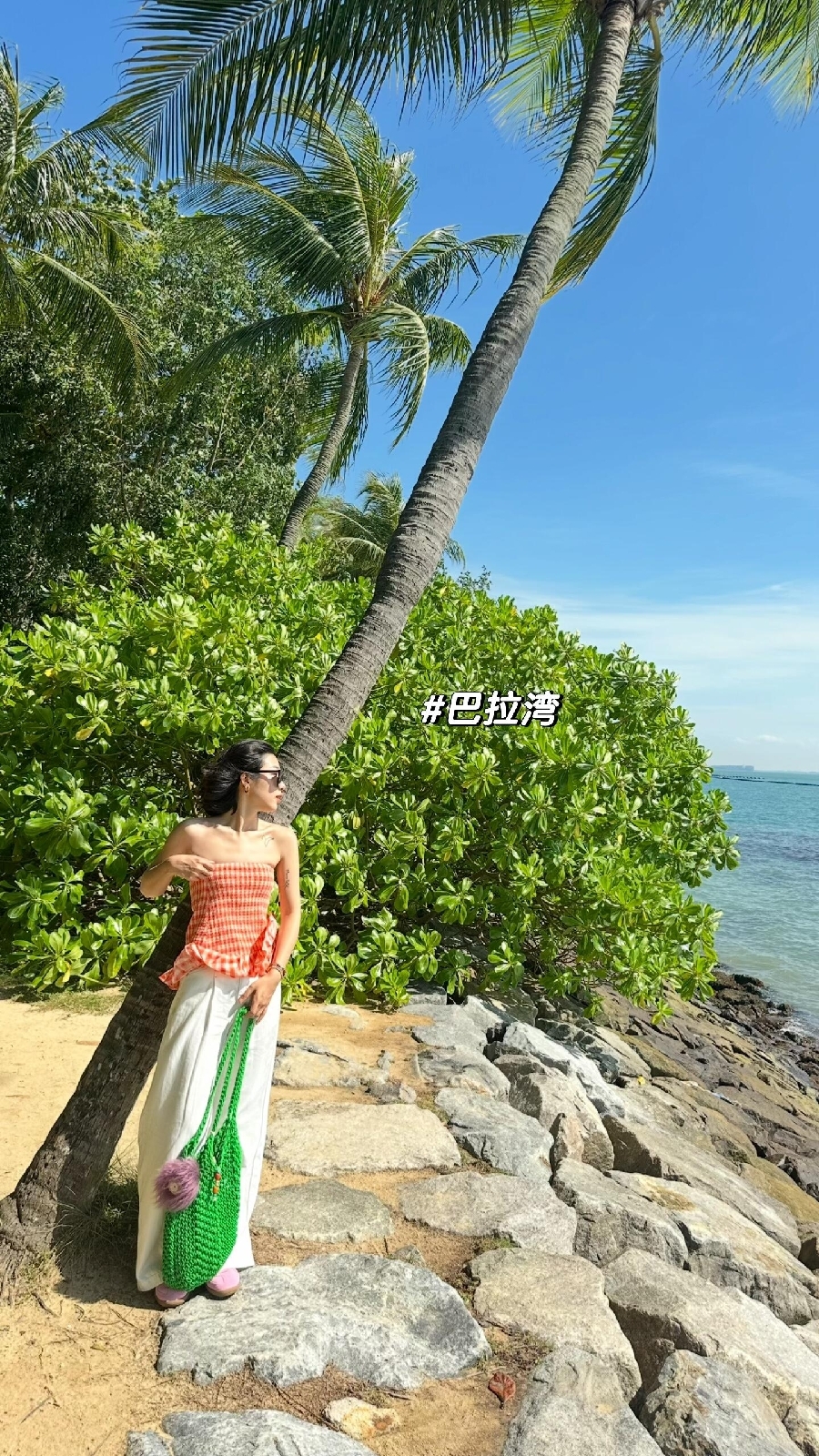 新加坡摩天观景轮实拍图