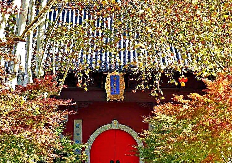 南京实拍图