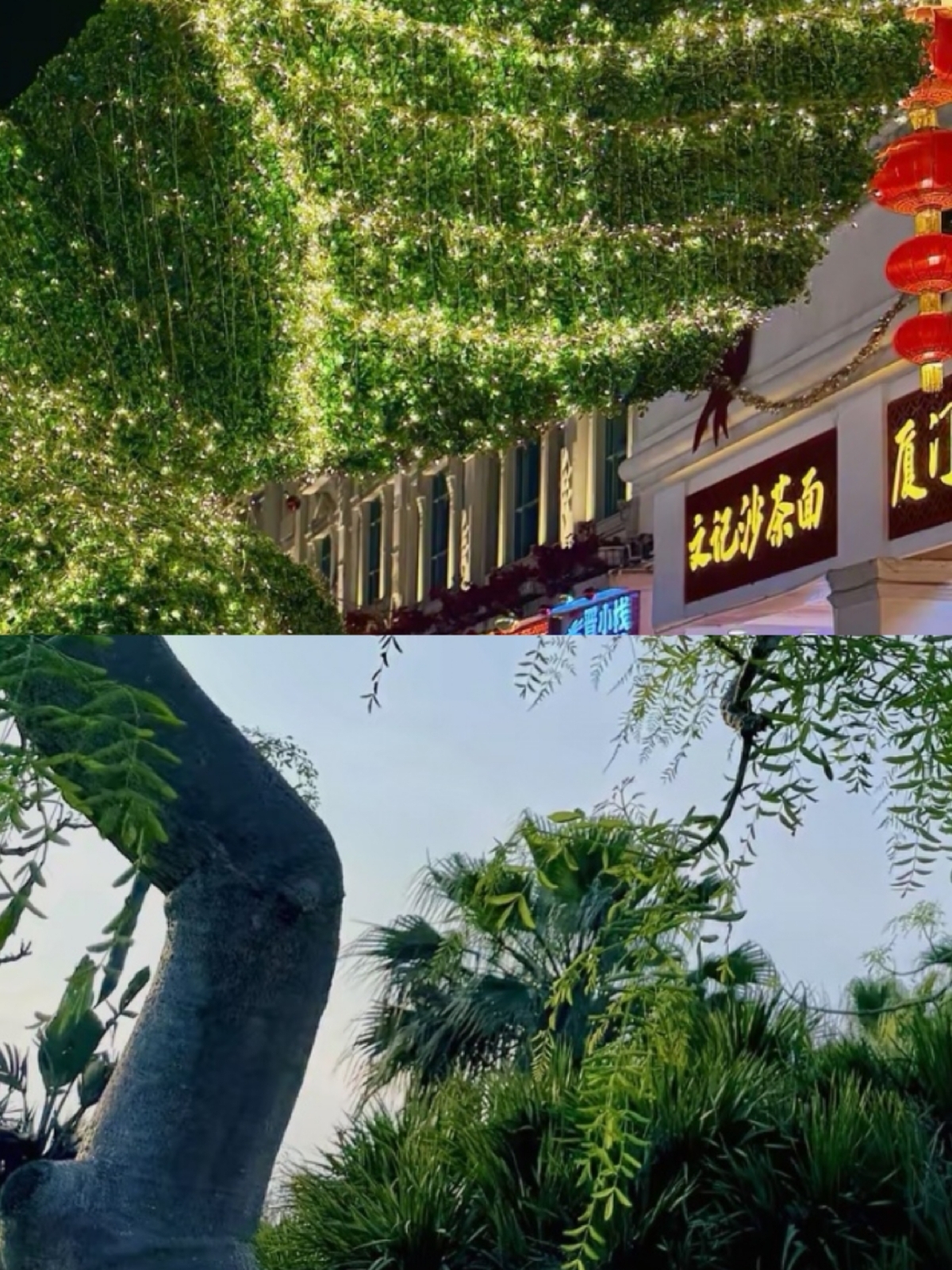 厦门鼓浪屿实拍图