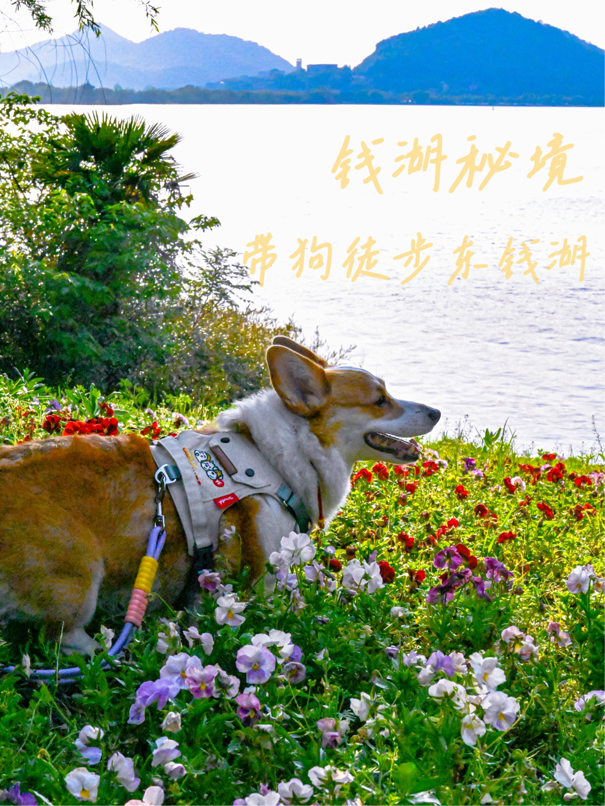 宁波钱湖秘境实拍图