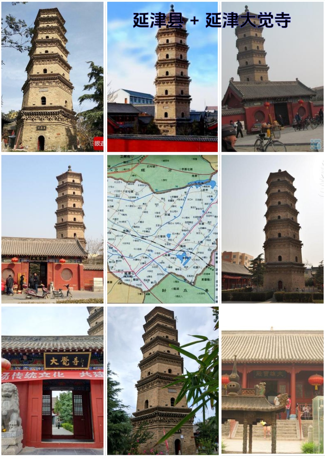 延津县花海公园实拍图5