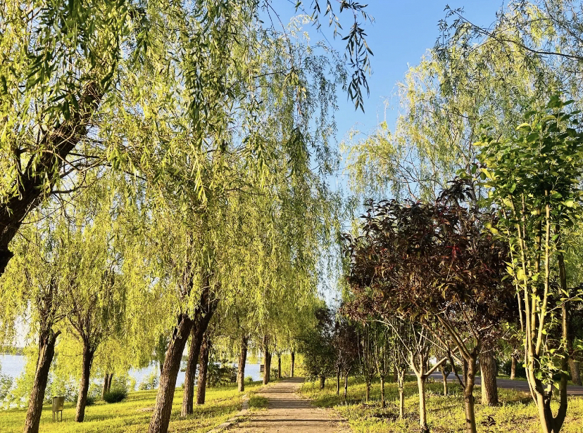 天津南湖风景区实拍图