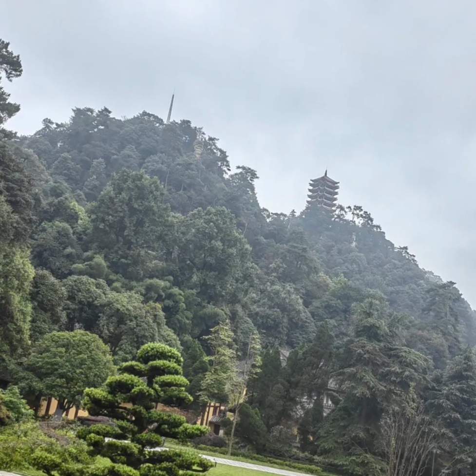 重庆缙云山实拍图