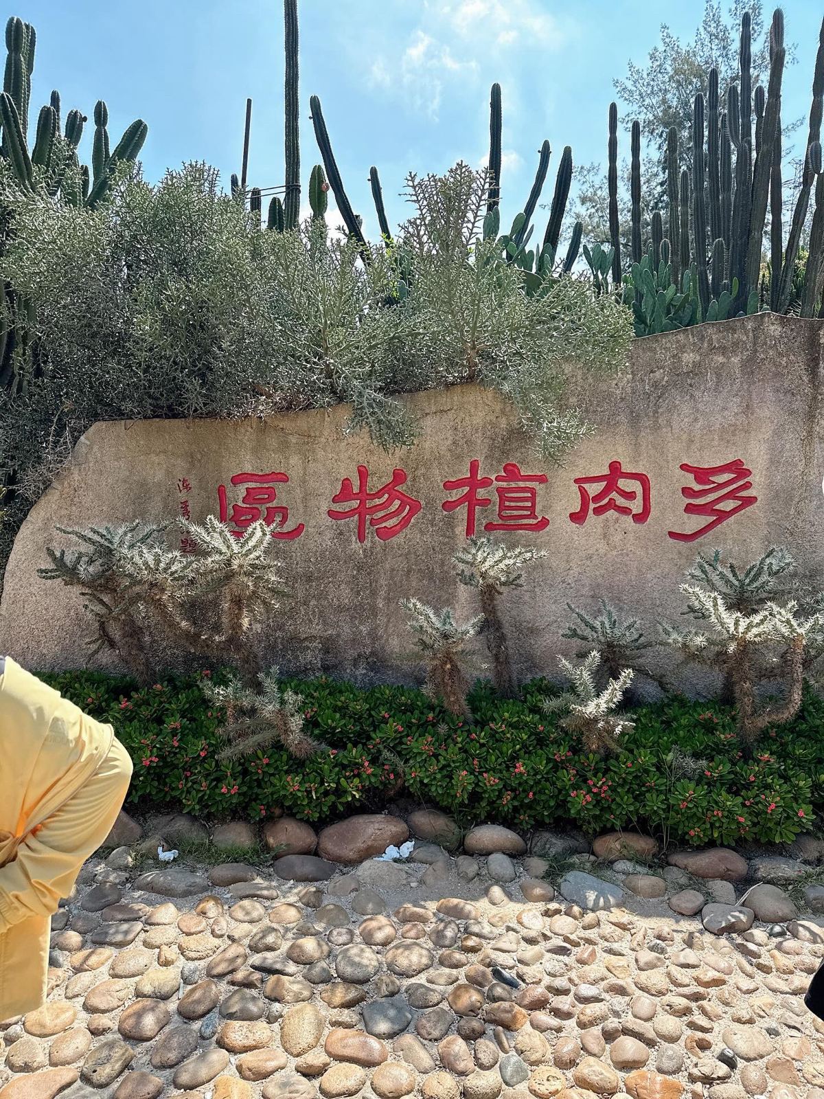 厦门园林植物园实拍图