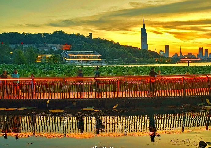 南京中央路实拍图