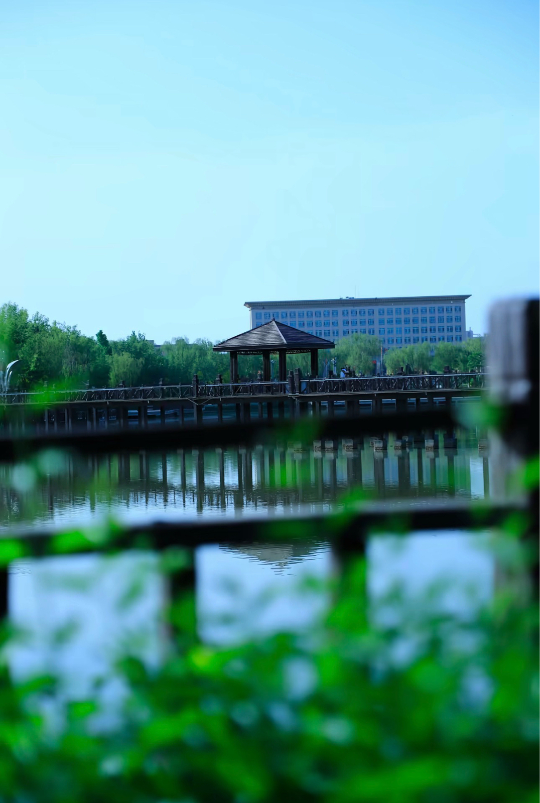 中宁南河子公园实拍图