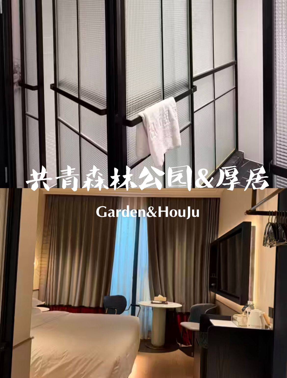 上海共青森林公园实拍图
