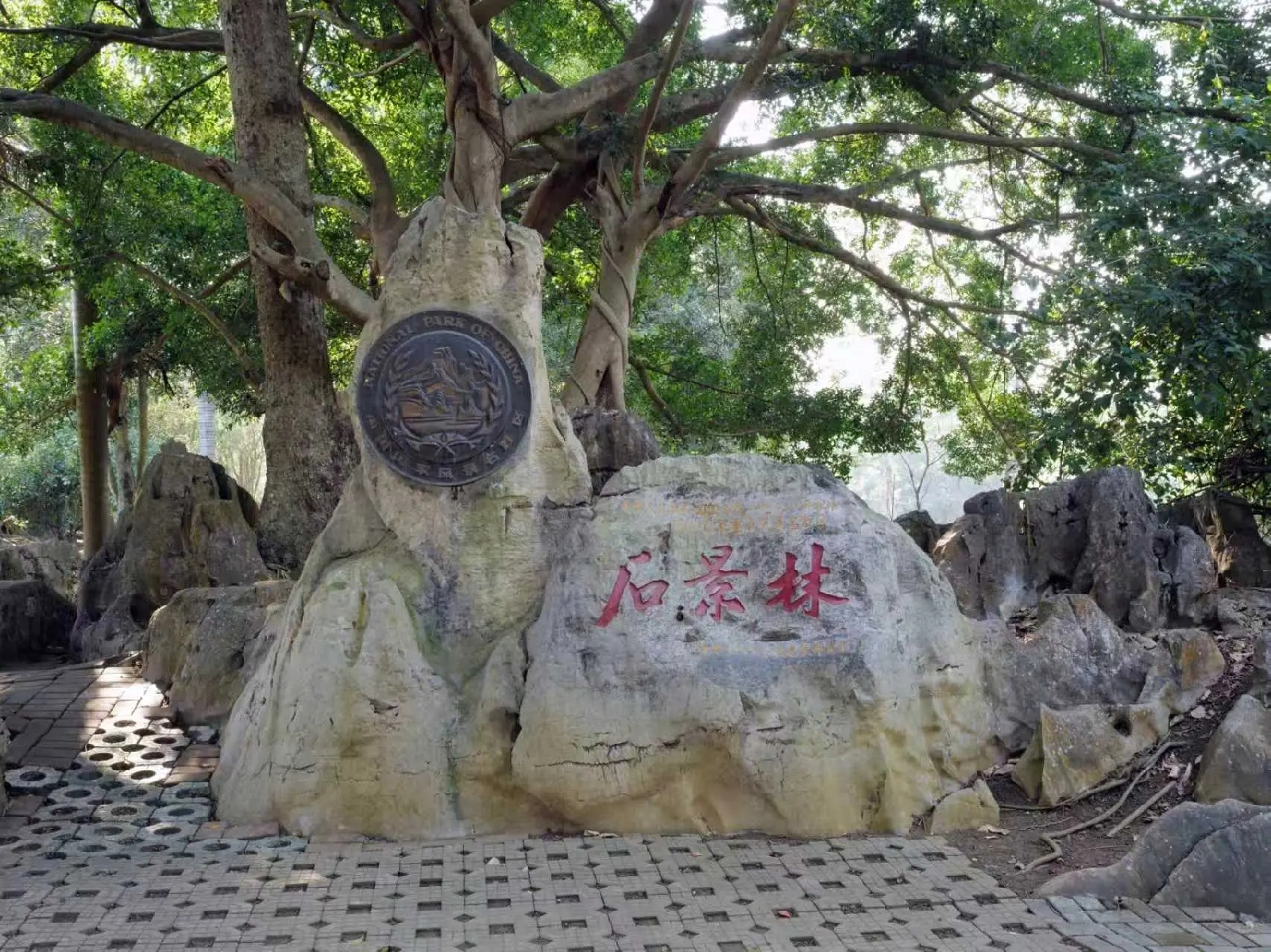 崇左石景林景区实拍图