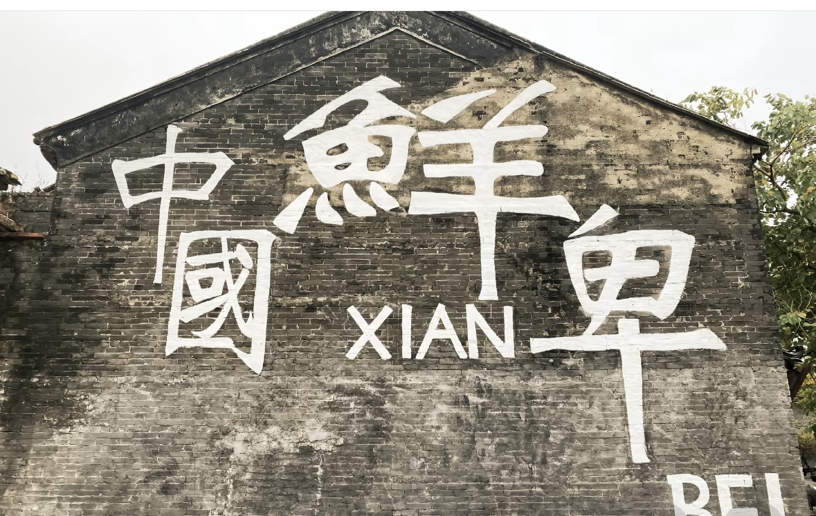 鹤山江门鹤山旅游文化节马耳山森林光舞嘉年华实拍图