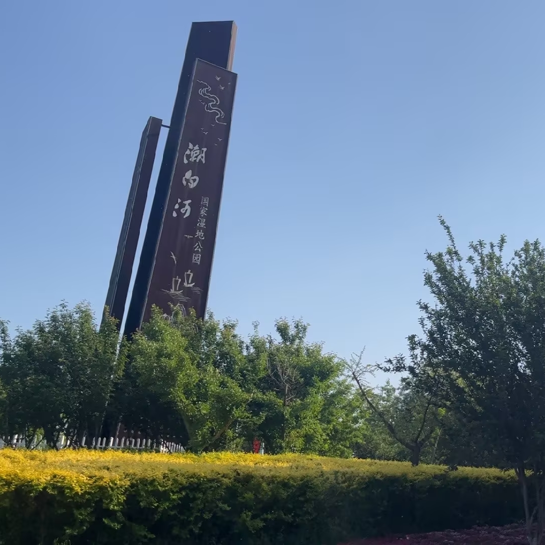 北京潮白河国家湿地公园实拍图