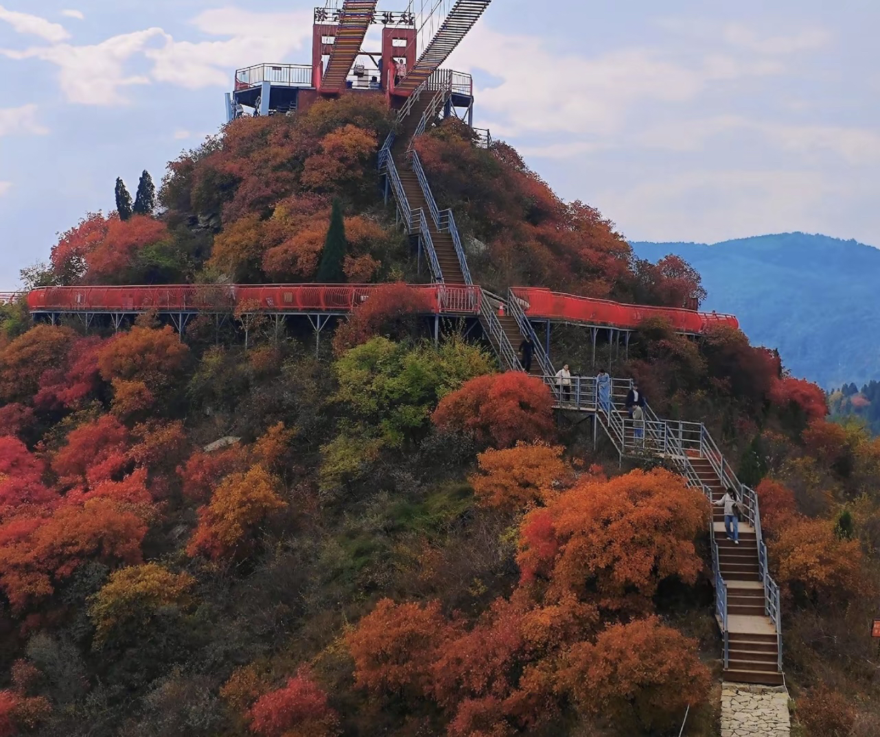 博山红叶柿岩实拍图