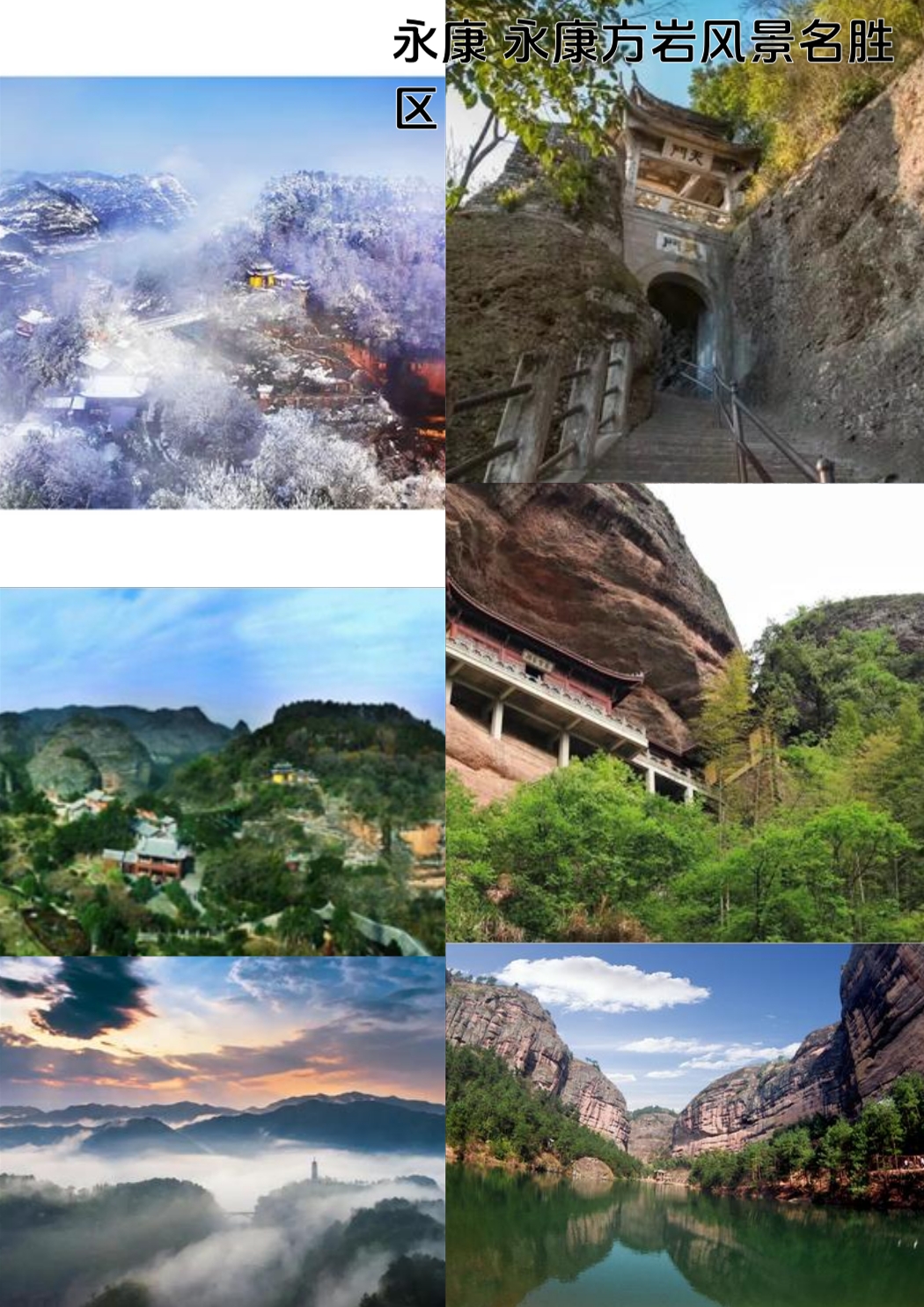 永康盘龙谷生态旅游区-百竹园实拍图