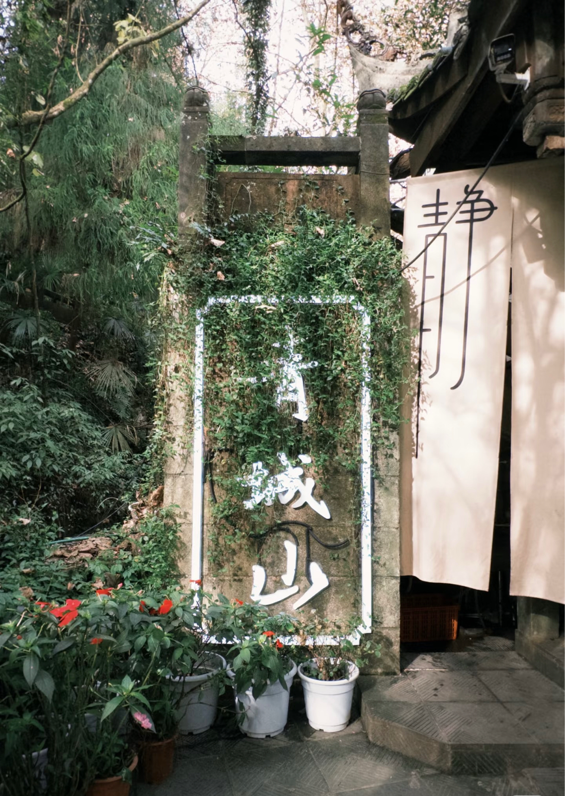 都江堰青城山实拍图