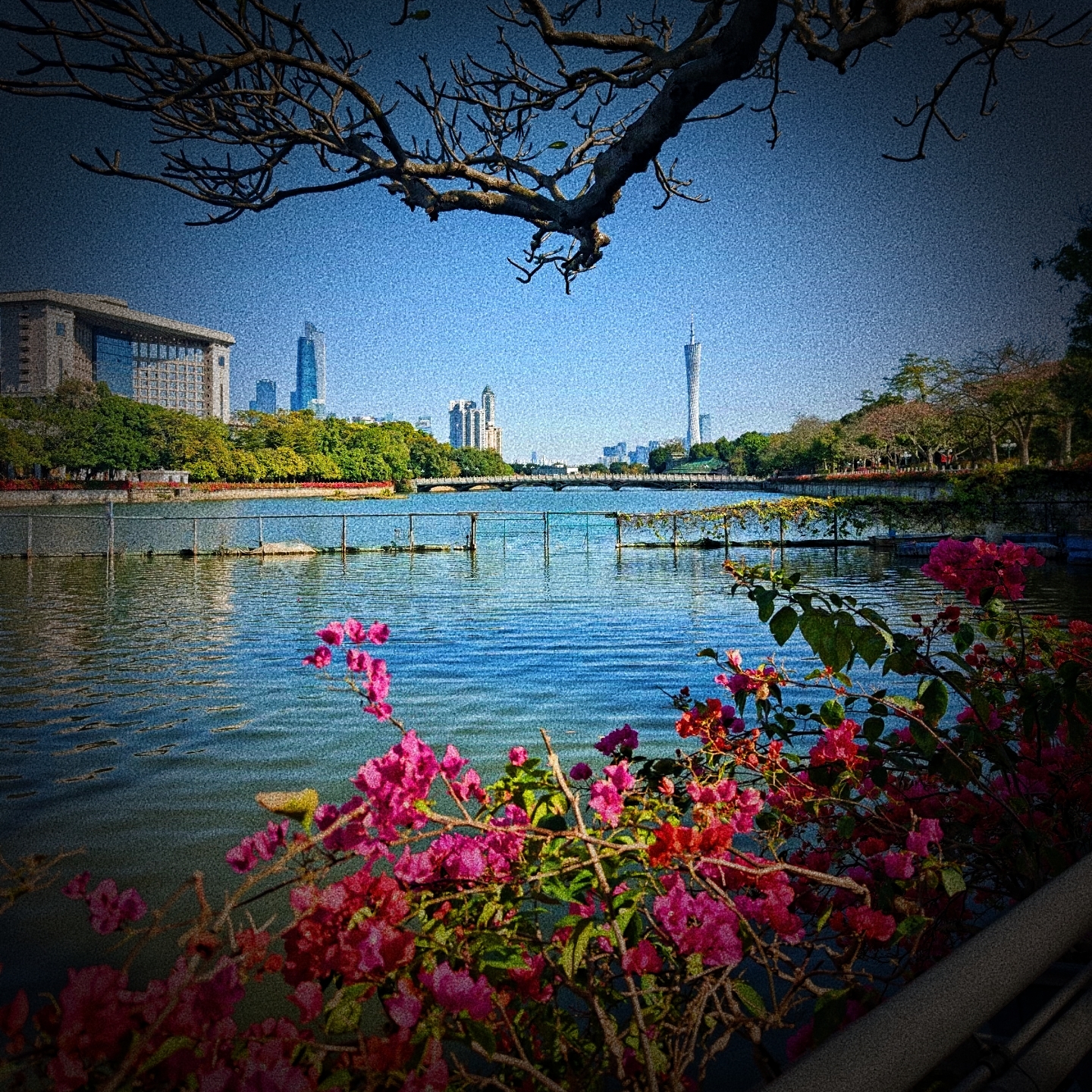 广州东山湖实拍图