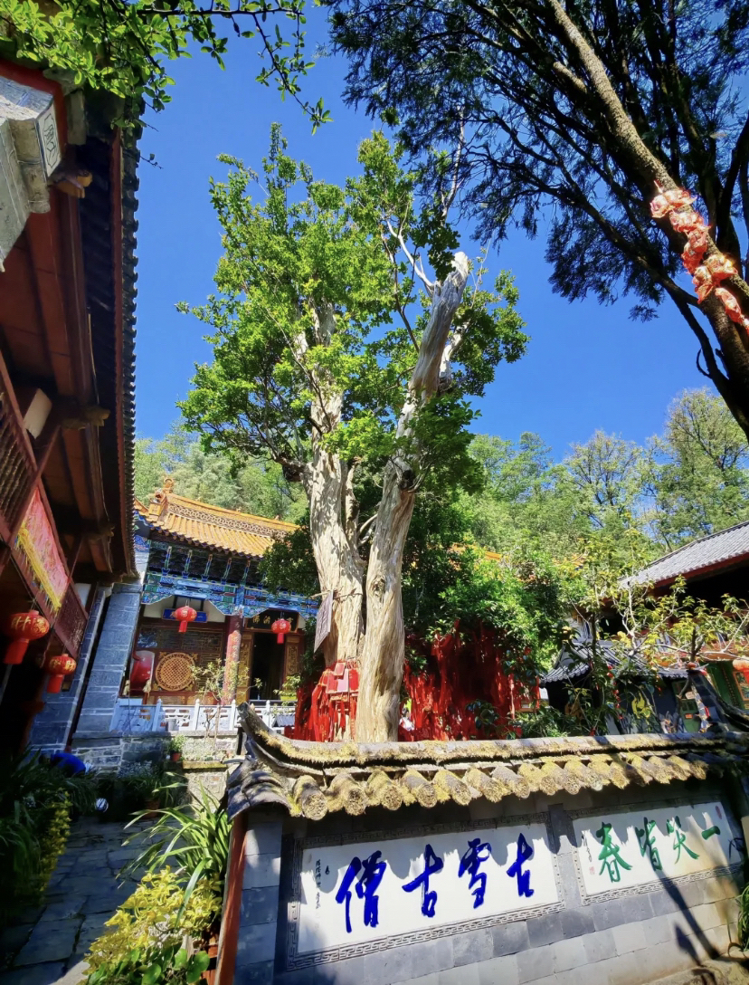 大理市感通寺实拍图