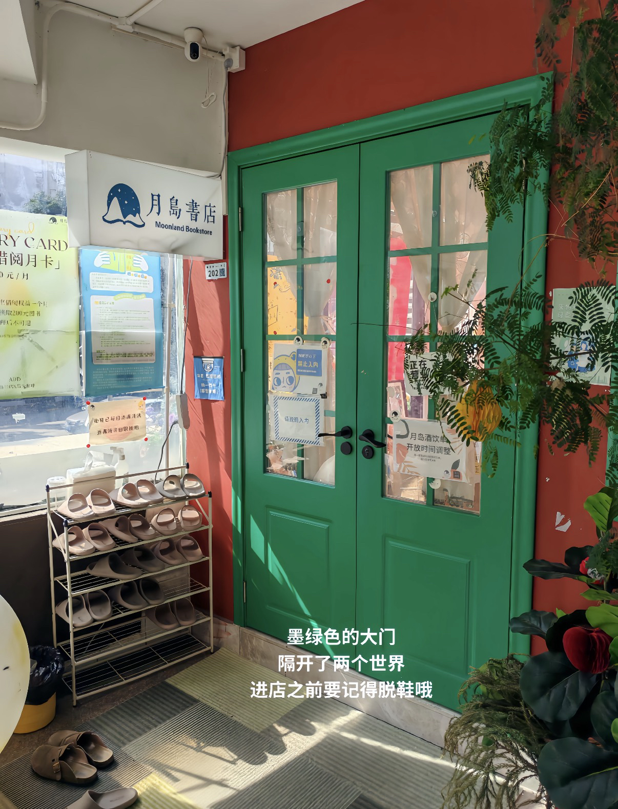 深圳实拍图