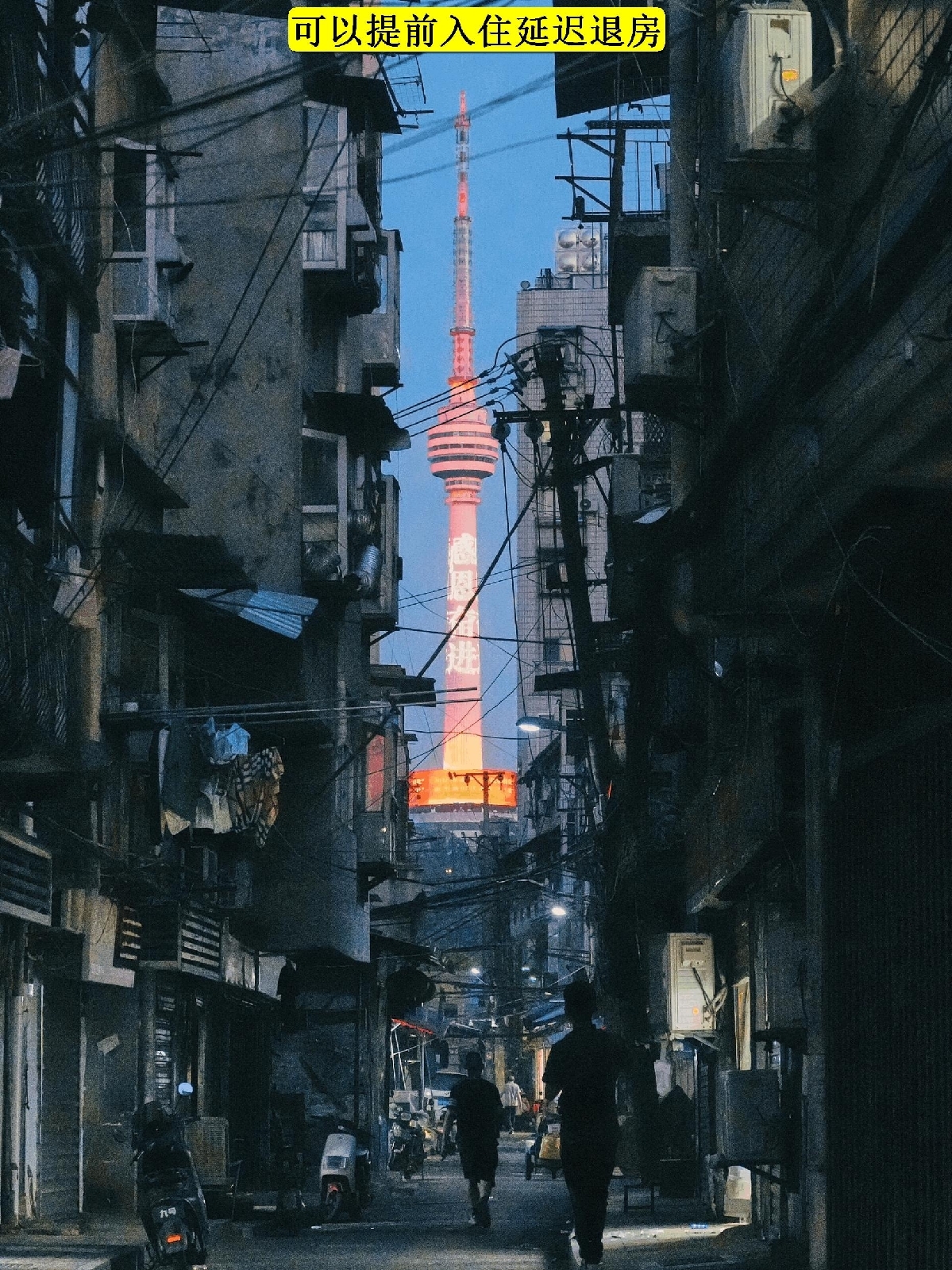 武汉园博园实拍图