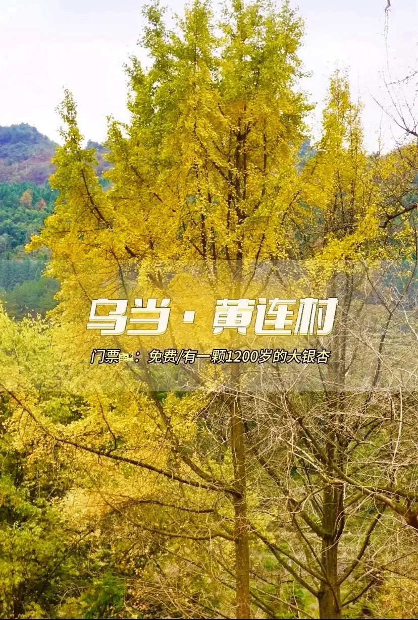 贵阳黄连村实拍图