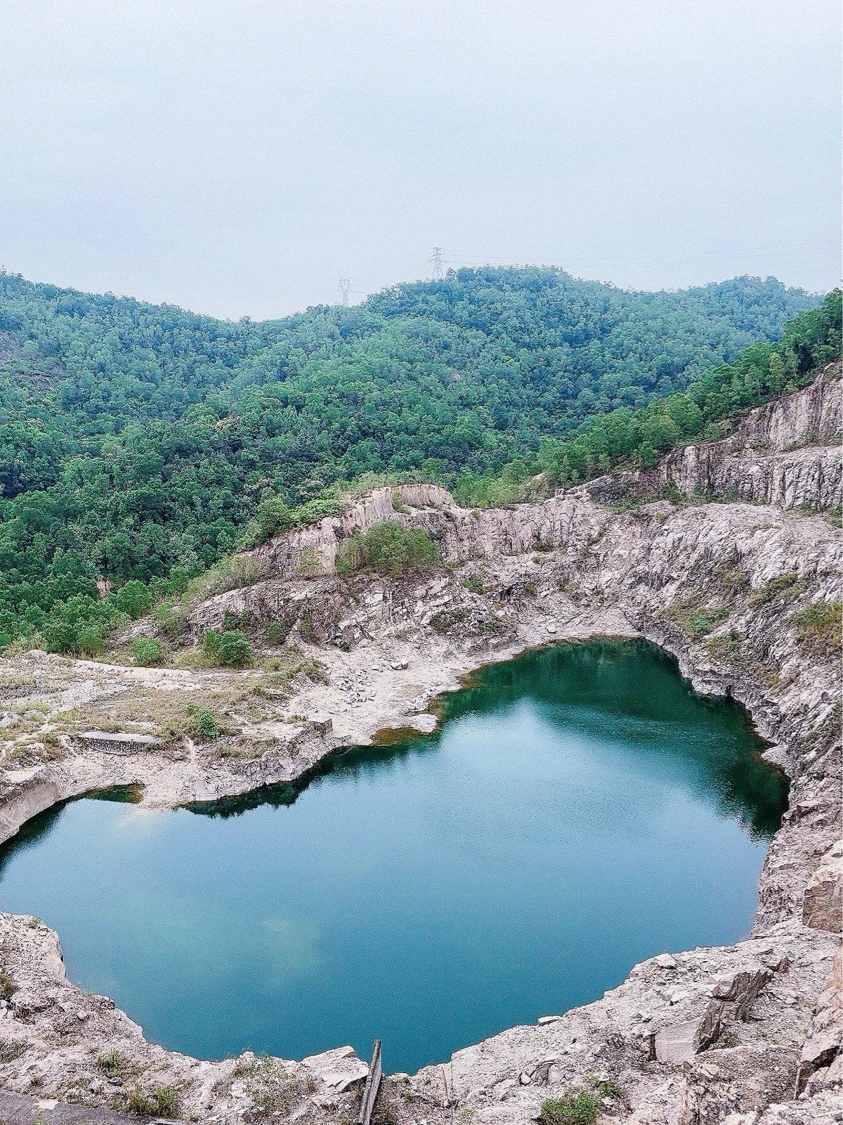 中山鹿鸣湖实拍图