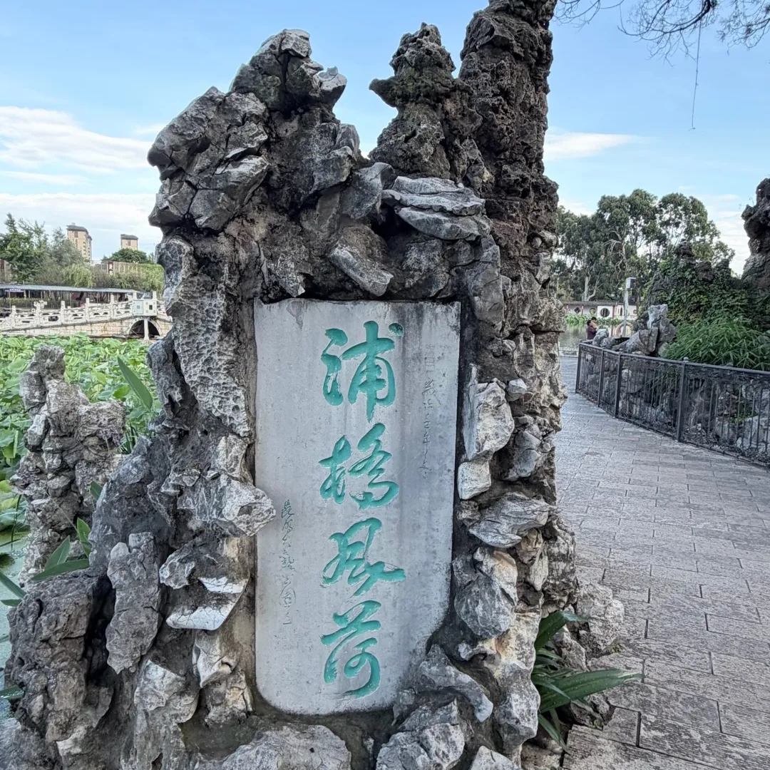 昆明大观公园实拍图