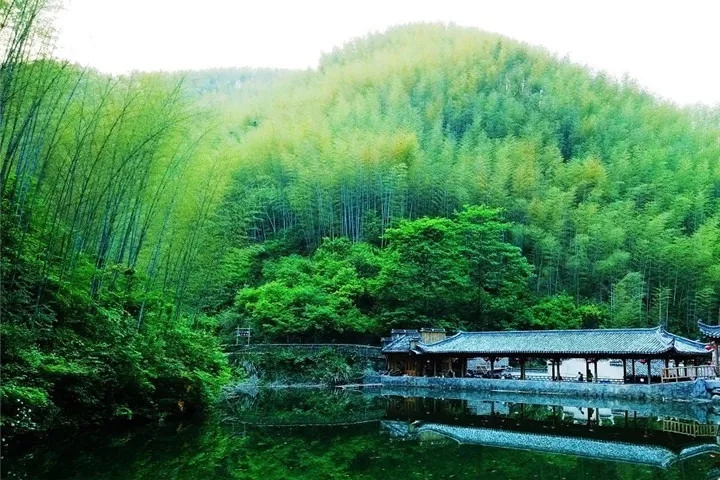 沐川竹海旅游景区实拍图