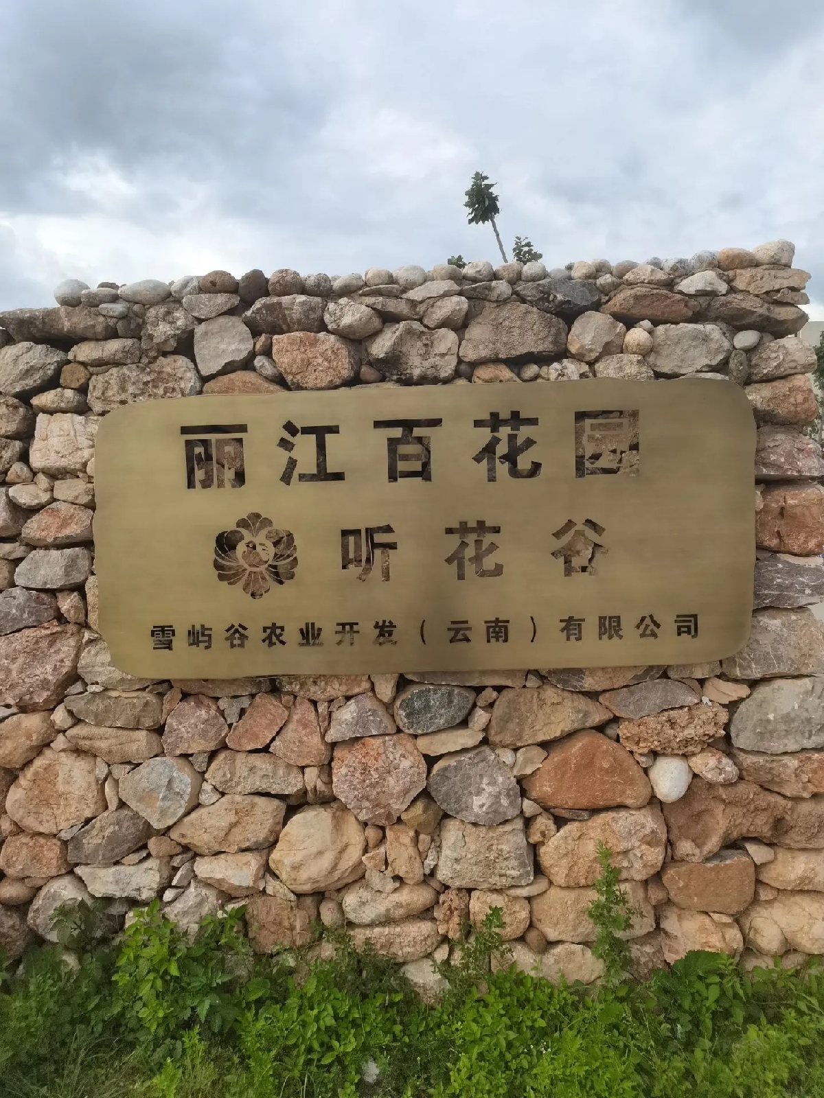 玉龙听花谷-丽江百花园实拍图