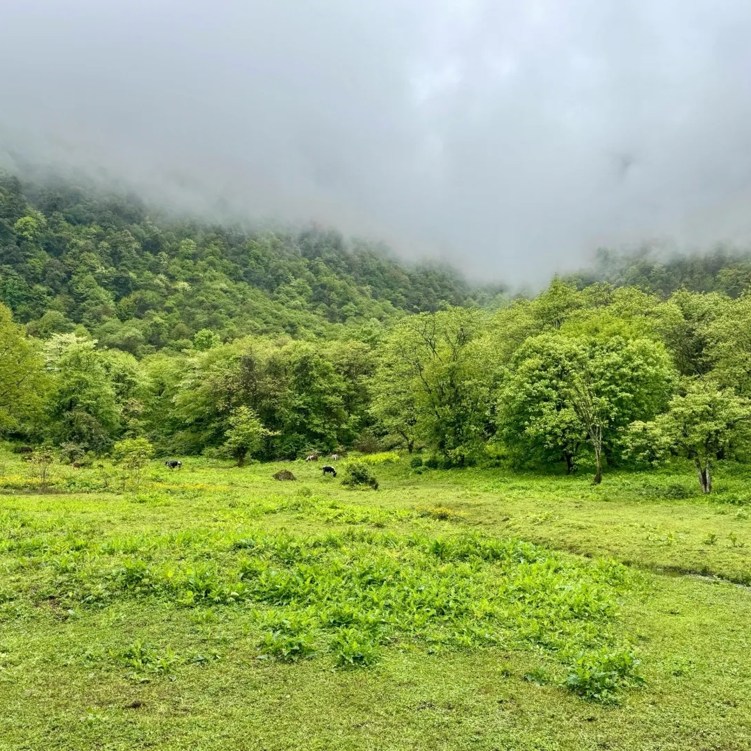 峨边黑竹沟风景名胜区实拍图
