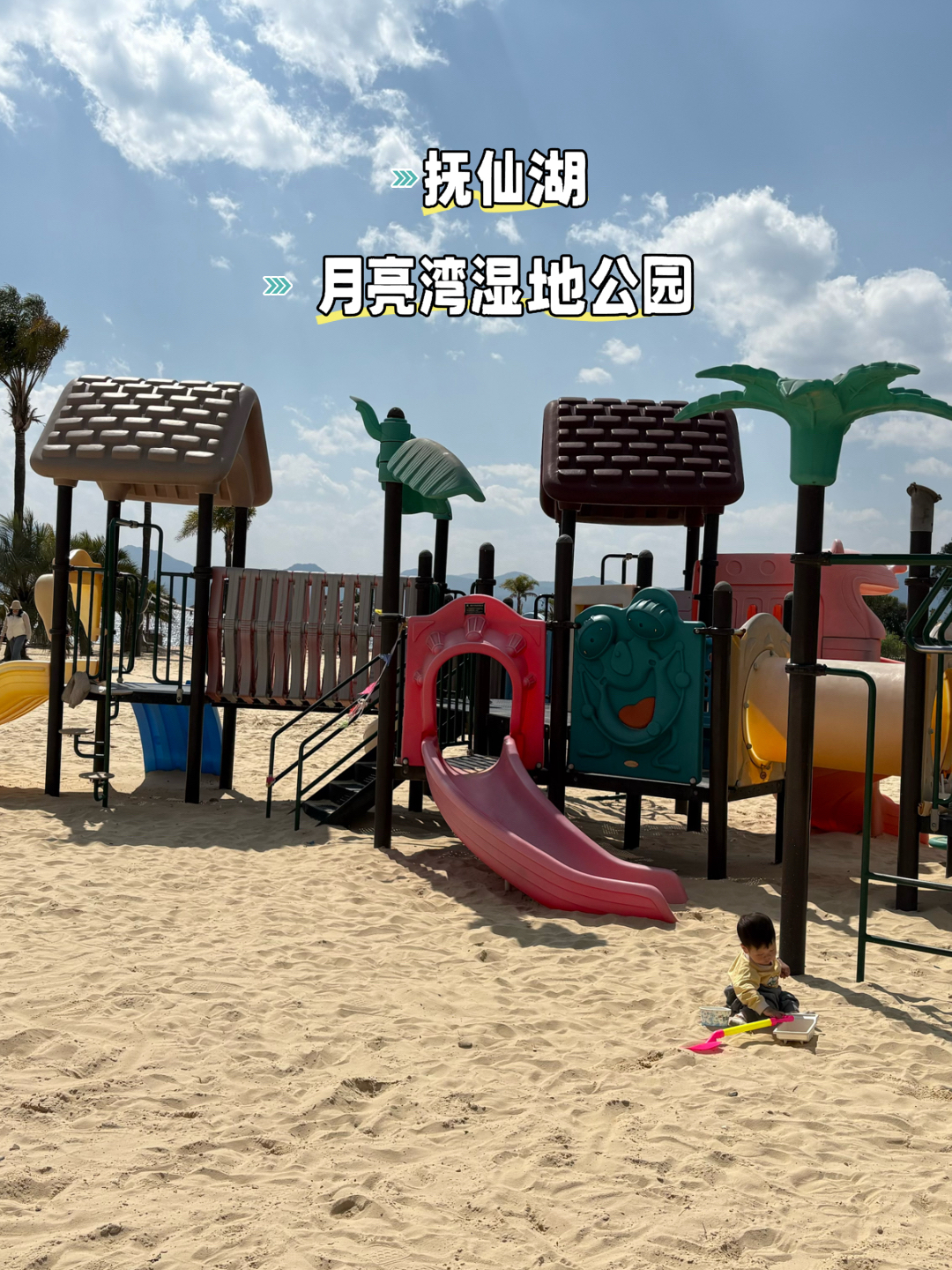 澄江月亮湾湿地公园实拍图
